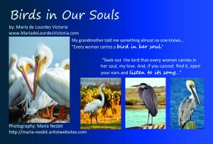 Birds in our Souls